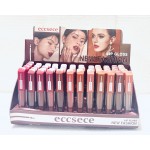 BRILLO ECCSECE  x48 /CAJA