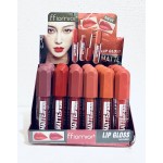 BRILLO MATTE  FFIOMROR 5596  x24 /CAJA