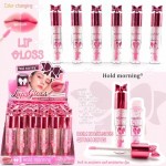 LIP GLOSS DE LAZO HOLD MORNING HL5905 x24 /CAJA