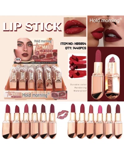 LABIAL MATTE LIP STICK HOLD MORNIING HB5654 x24 /CAJA