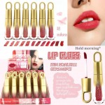 BRILLO MATTE FASHION LIP GLOSS HOLD MORNING HL5911 x24 /CAJA