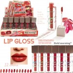 BRILLO MATTE SHINY LIP GLOSS HOLD MORNING HL5914 x24 /CAJA
