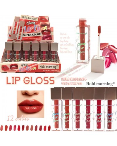 BRILLO MATTE SHINY LIP GLOSS HOLD MORNING HL5914 x24 /CAJA