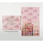 PALETA SOMBRA  VAN DER PUMP GELANZI 64 TONOS 