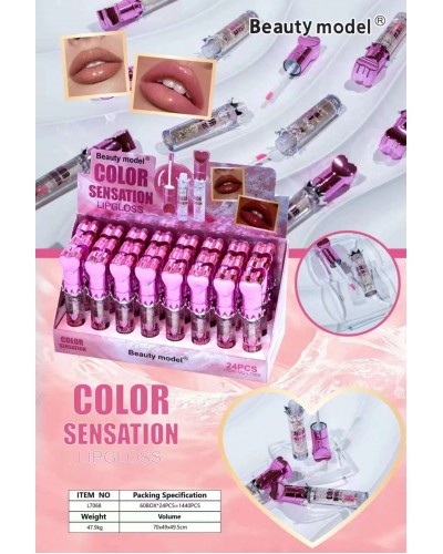 BRILLO COLOR SENSATION BEAUTY MODEL L7068 x24 /CAJA