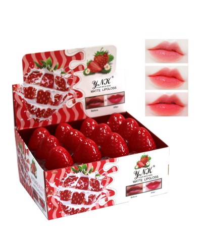 BRILLO FRESA MELIYA BEAUTY ZY7104 x24 /CAJA